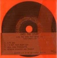 Into The Storm - Like the Song That Never Was