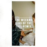 Ty Dolla $ign, The Weeknd & Belly - King of the Fall (Remix)