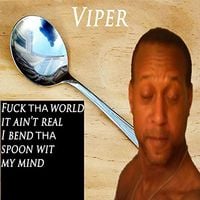 Viper - Fuck Tha World It Ain't Real I Bend Tha Spoon Wit My Mind 2