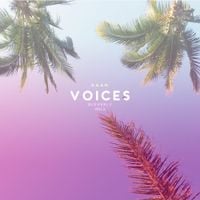 K.A.A.N. & Bleverly Hills - Voices