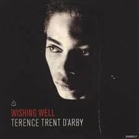 Sananda Maitreya - Wishing Well