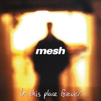 Mesh - In this place forever
