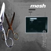 Mesh - Fragile