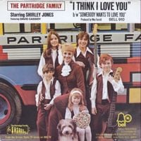 The Partridge Family - I Think I Love You