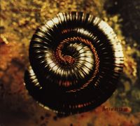 Nine Inch Nails - Closer: Further Away (Part 1 of a 2 CD Set)