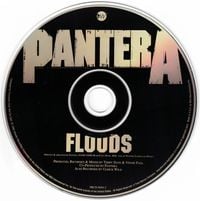 Pantera - Floods