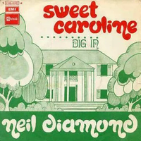 Neil Diamond - Sweet Caroline / Dig In