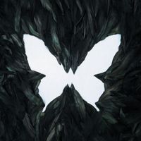 JEY - Soar