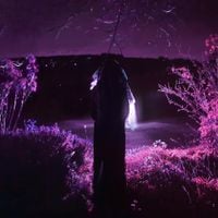 Sidewalks and Skeletons - Entity