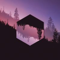 Rosentwig - Leftover: Selects