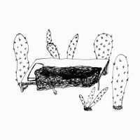 Magda Drozd - Songs For Plants