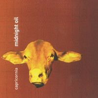 Midnight Oil - Capricornia