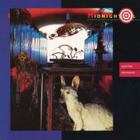Midnight Oil - Species Deceases