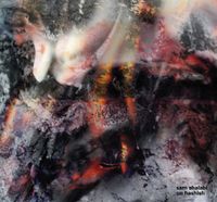 Sam Shalabi - On Hashish