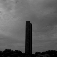 Bosque - Nowhere