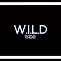 Wild Wes - W.I.L.D Wes
