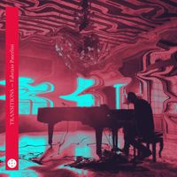 Fabrizio Paterlini - Transitions