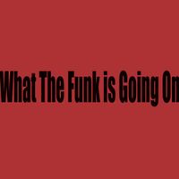 TheMAX - What the Funk Is Going On