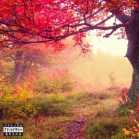 Lil Smaller - Disarray