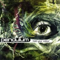 Pendulum - Hold Your Colour
