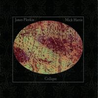 James Plotkin &middot; Mick Harris - Collapse