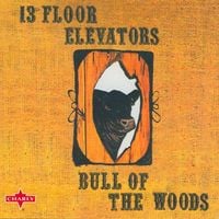 The 13th Floor Elevators - Bull of the Woods