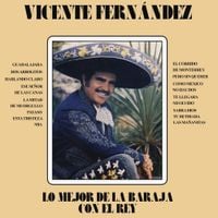 Vicente Fern&aacute;ndez - Lo mejor de la baraja