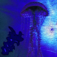 Cnidaria - Medusozoa