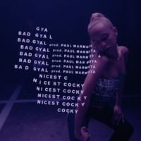 Bad Gyal - Nicest Cocky