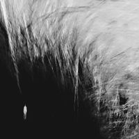 Golden Heir Sun - Holy The Abyss