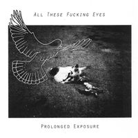 All These Fucking Eyes - Prolonged Exposure