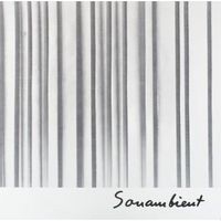 Harry Bertoia - Continuum / Near and Far