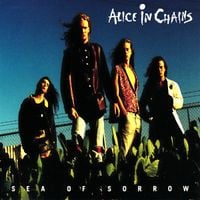 Alice in Chains - Sea of Sorrow