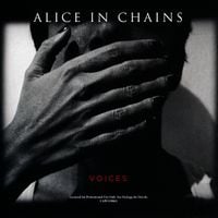 Alice in Chains - Voices