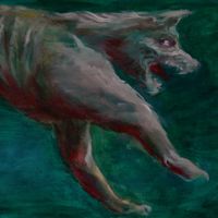 Appaloosa - BAB