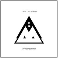 Bone And Marrow - Introspectator