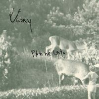 Ugory - P&oacute;źne lato