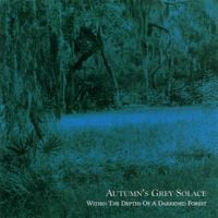 Autumn's Grey Solace - Within the Depths of a Darkened Forest