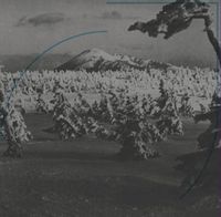 Acid Mothers Temple & the Melting Paraiso U.F.O. - In Search of the Lost Divine Arc