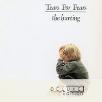 Tears for Fears - The Hurting (30th Anniversary Edition)