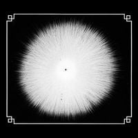 Castevet - Obsian