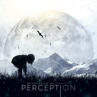 Breakdown of Sanity - Perception