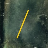 Throwing Muses - Purgatory/Paradise