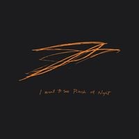 Andrew Bird - I Want to See Pulaski at Night
