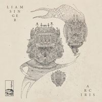 Liam Singer - Arc Iris