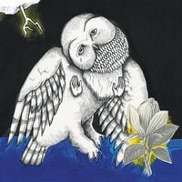 Songs: Ohia - The Magnolia Electric Co. [10th Anniversary Edition]