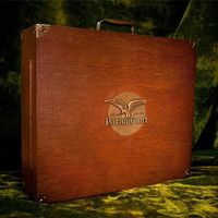 Various Artists - The Rise & Fall of Paramount Records, Volume One (1917-1932)