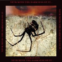 Lee Bannon - Never/mind/the/darkness/of/it...