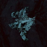 Young Echo - Nexus