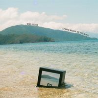 Bill Baird - Spring Break of the Soul